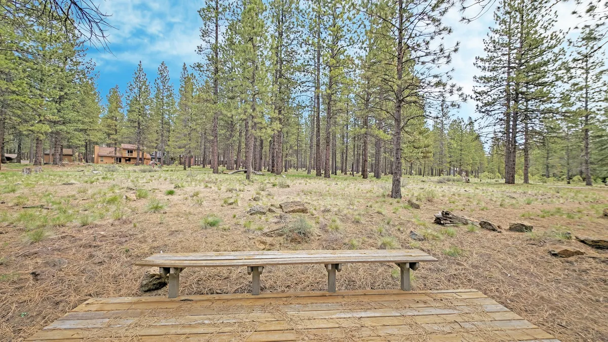 This image features a peaceful outdoor scene with a wooden bench shaded by tall pine trees and set against an open grassy area. The natural surroundings suggest opportunities for bird watching, morning coffee outdoors, and relaxing in nature.